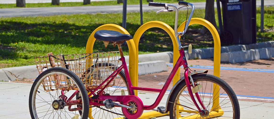 electric trike