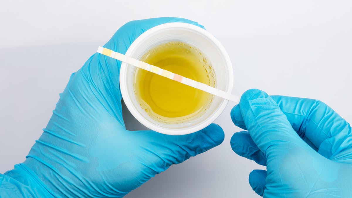 An Ultimate Guide For You To Know About The Synthetic Urine - Enjoy While  Enhancing Your Knowledge