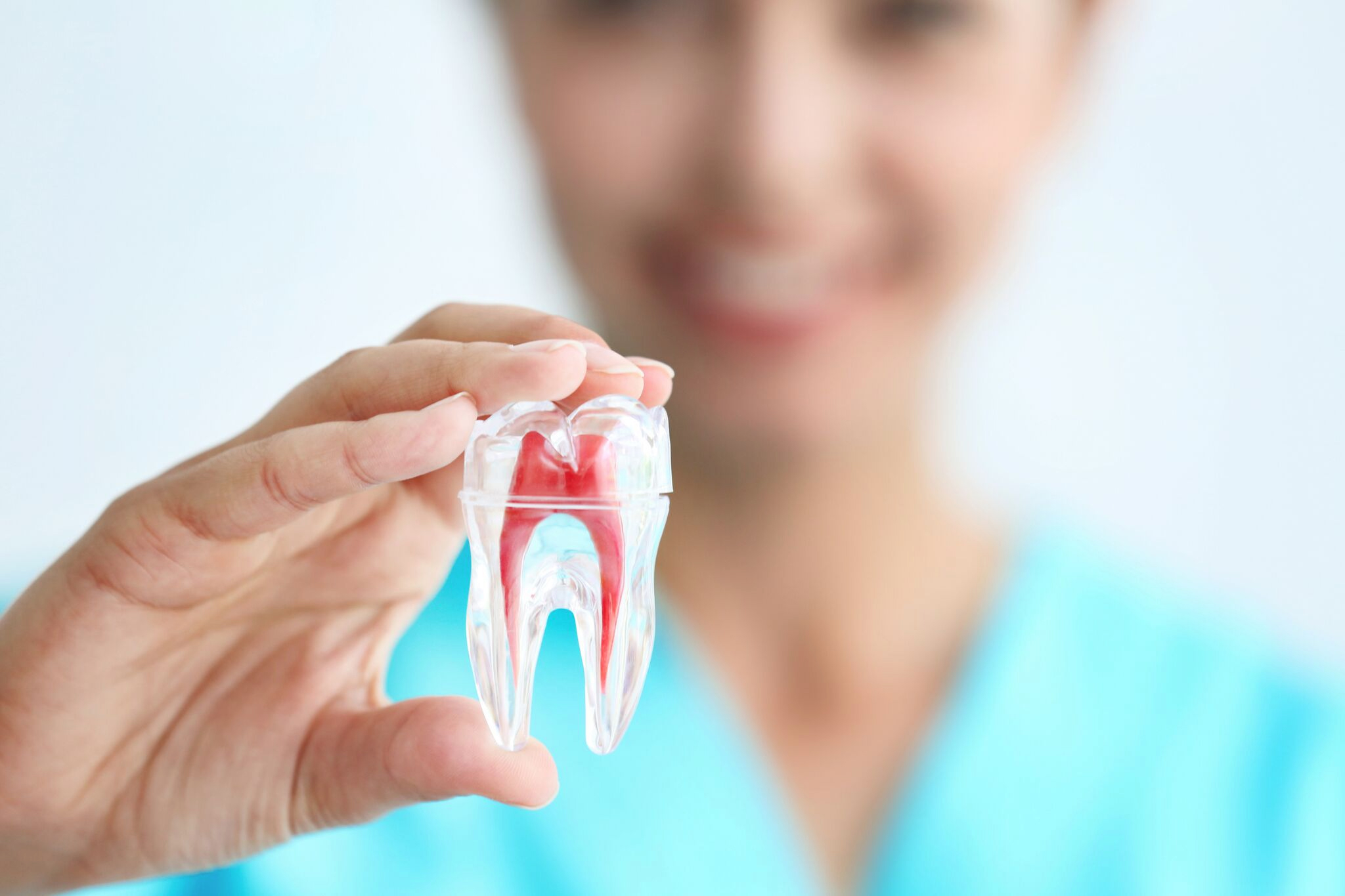 Beginning on root canal treatment specialist
