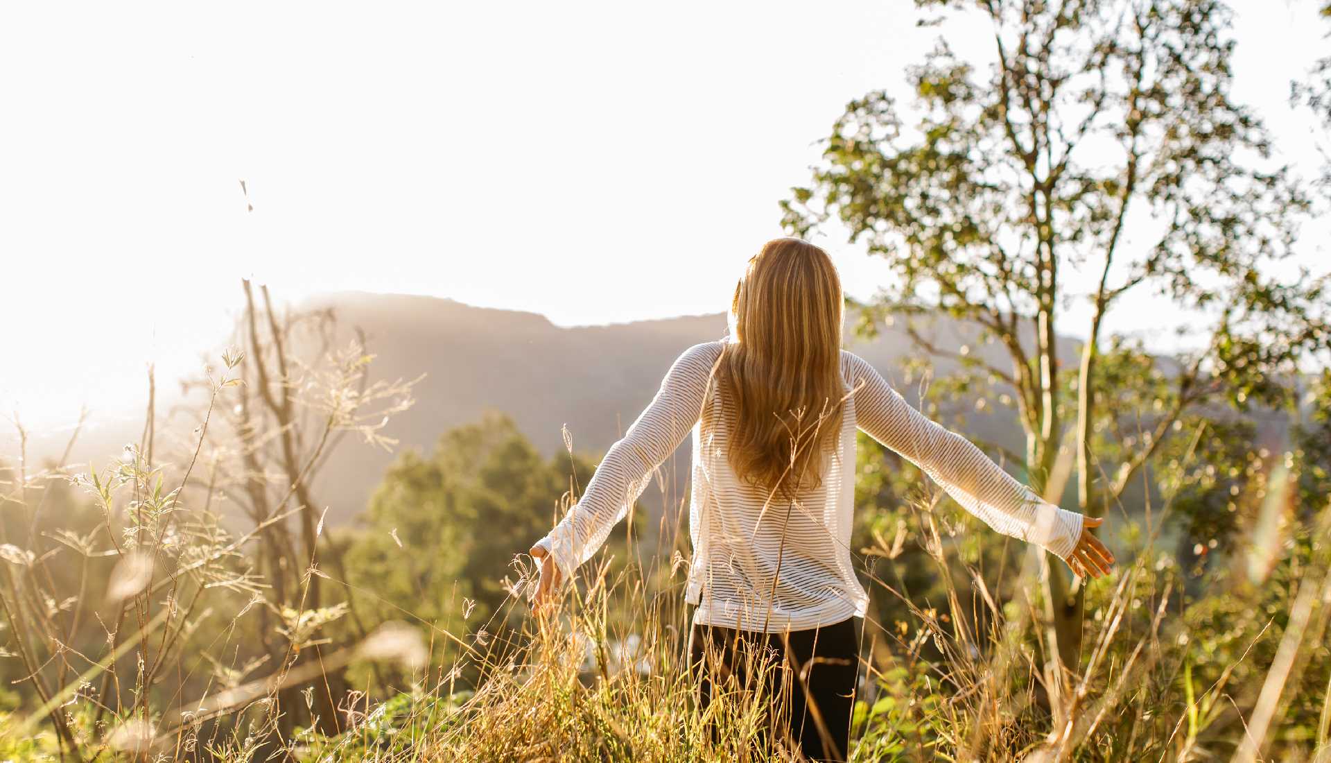 elevate health and wellness